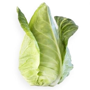 Cabbage Sugarloaf | Harris Farm Online