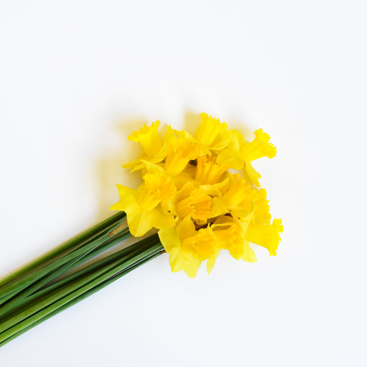 Flowers Daffodil Bunch | Harris Farm Online