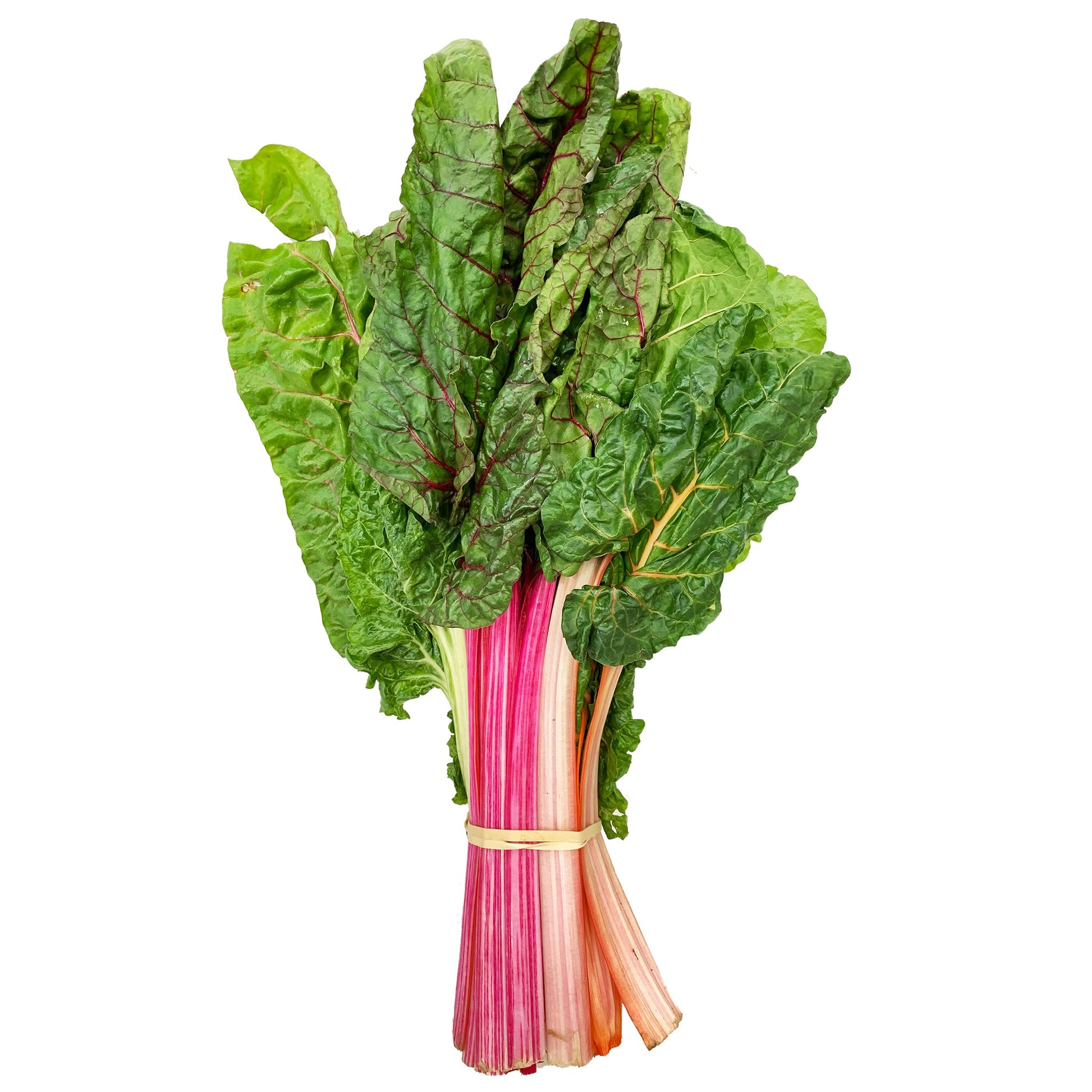 Rainbow Spinach | Harris Farm Online