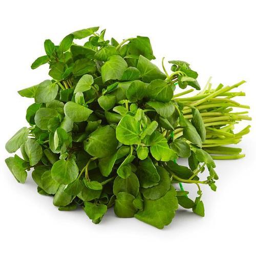 Watercress bunch | Harris Farm Online