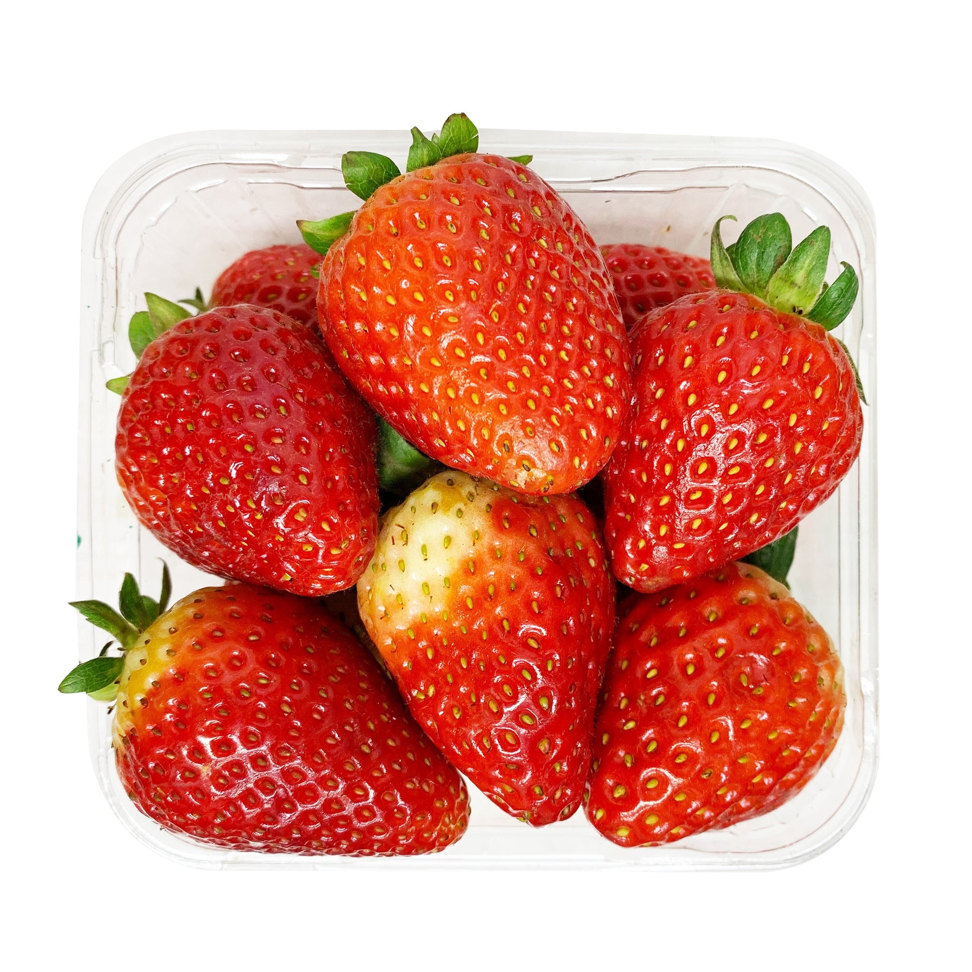 Strawberries Large | Harris Farm Online