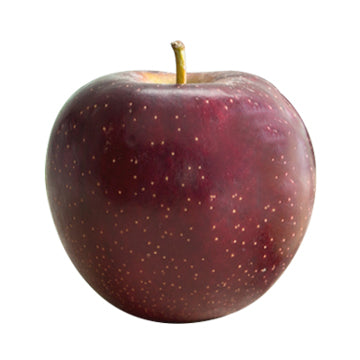 Apples Bravo Black | Harris Farm Online