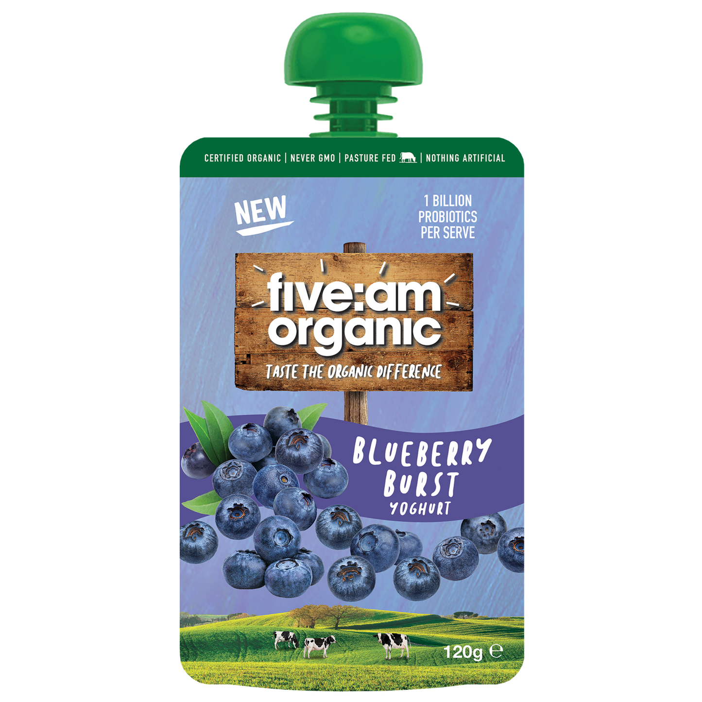 Five AM Blueberry Organic Kids Yoghurt 120g