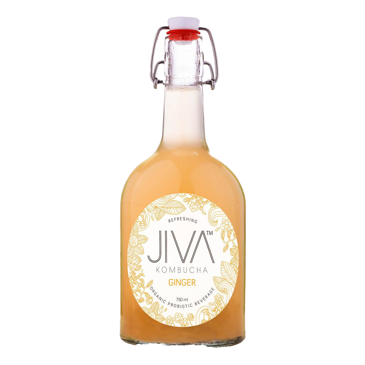 Jiva Kombucha Ginger 100ml