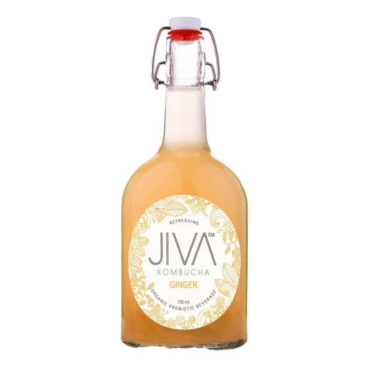 Jiva Kombucha Ginger 100ml