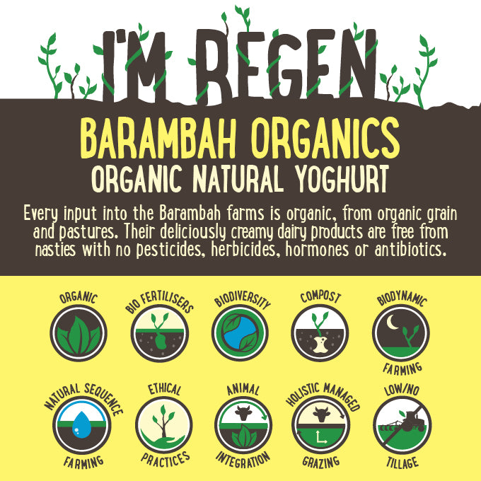 Barambah Organics All Natural Full Fat Yoghurt | Harris Farm Online