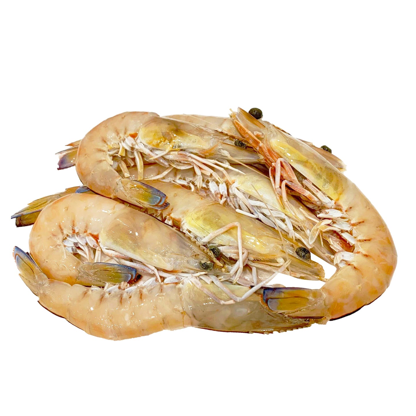 Fresh Raw King Prawns Medium | Harris Farm Online