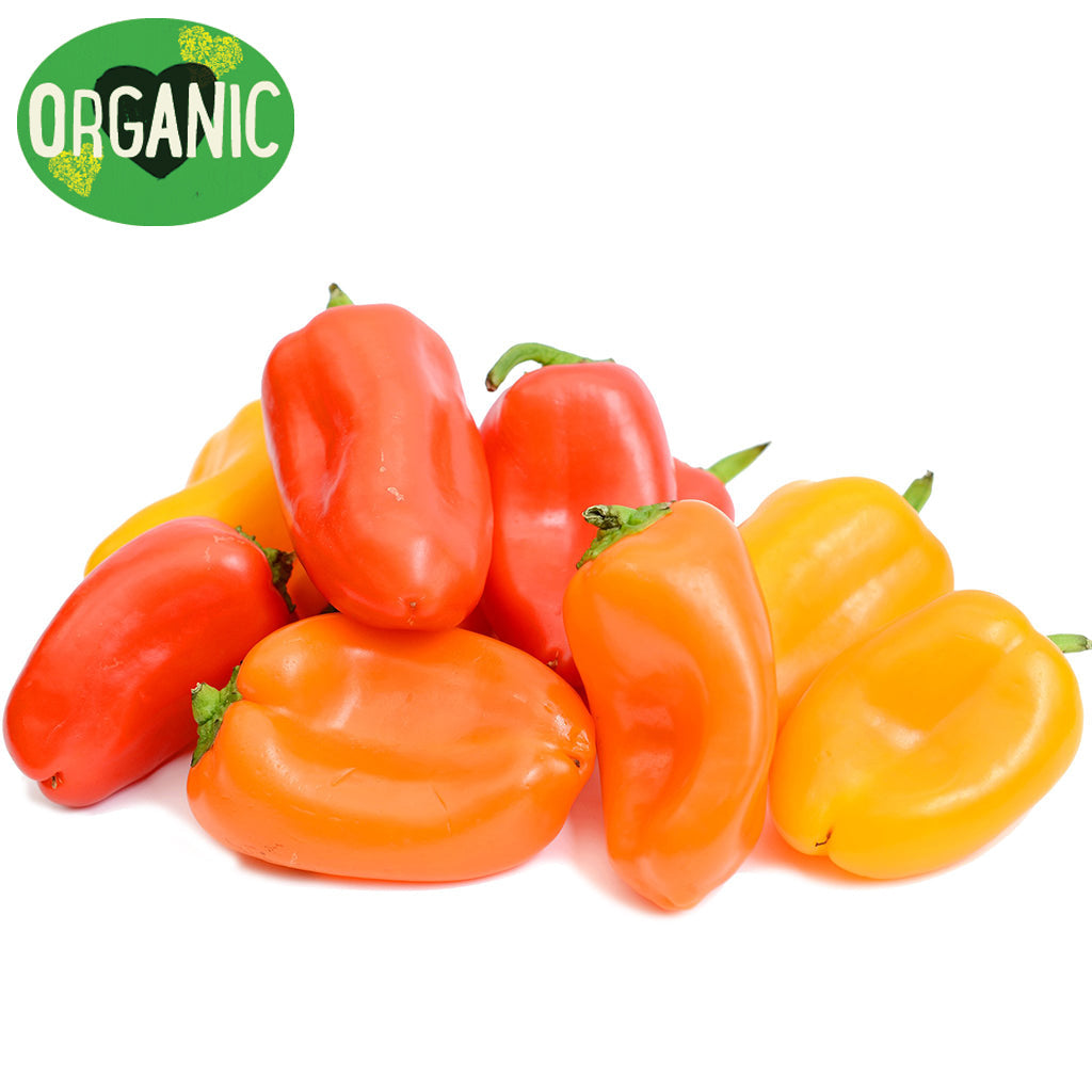 Capsicums Baby Mixed Colour Organic | Harris Farm Online