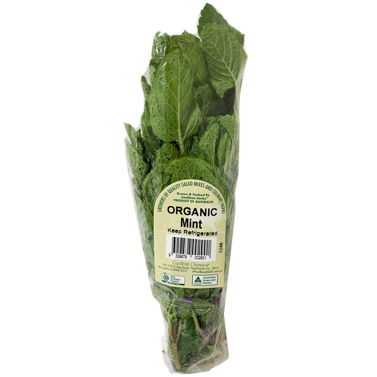 Fresh Mint Organic | Harris Farm Online