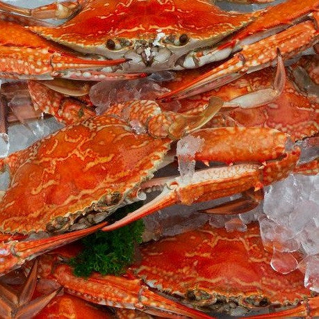 Fresh Blue Swimmer Crab Cooked | Harris Farm Online