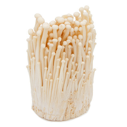 Mushrooms Enoki | Harris Farm Markets