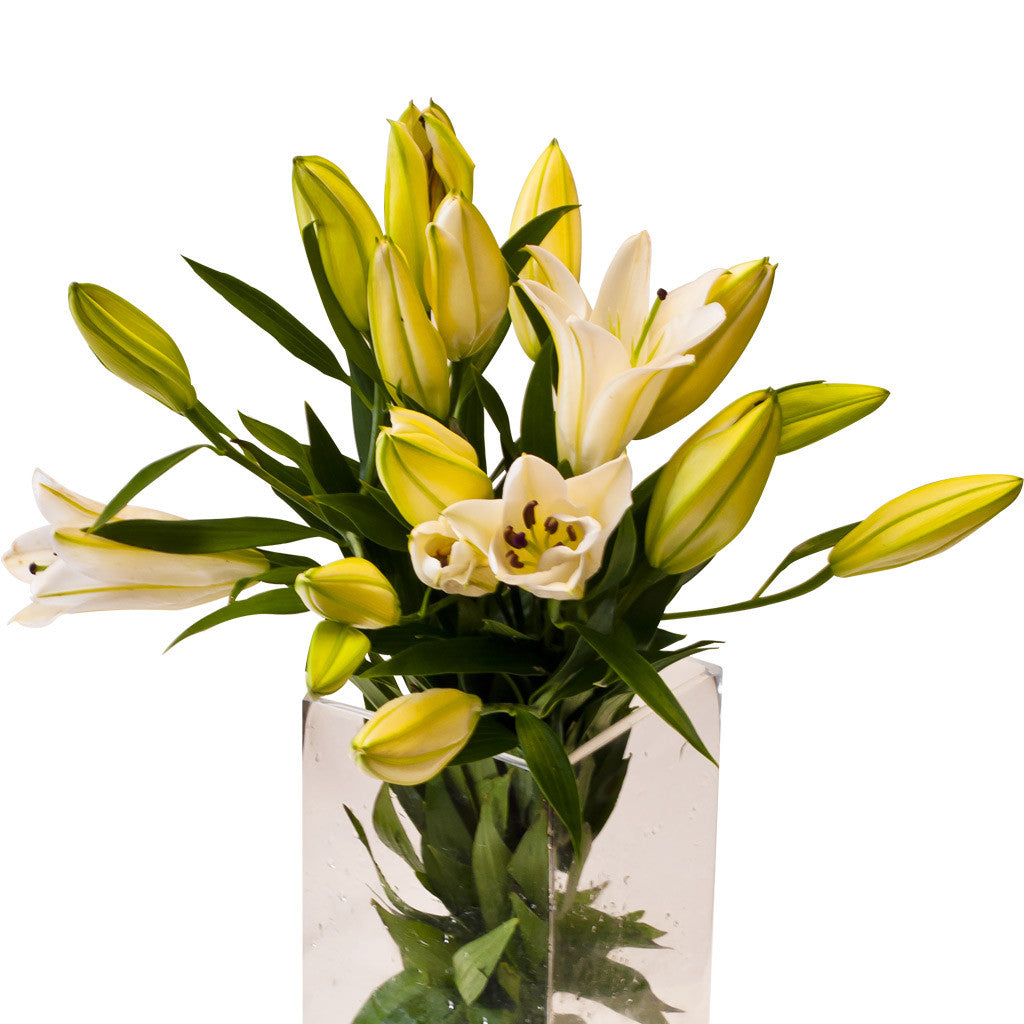 Flowers Oriental Lilies White Bunch | Harris Farm Online