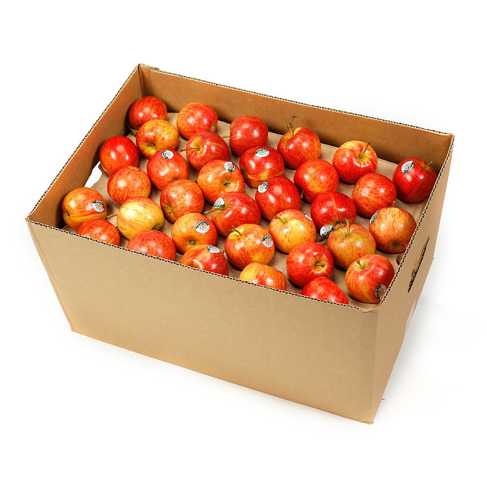 Apple Royal Gala Box 12kg