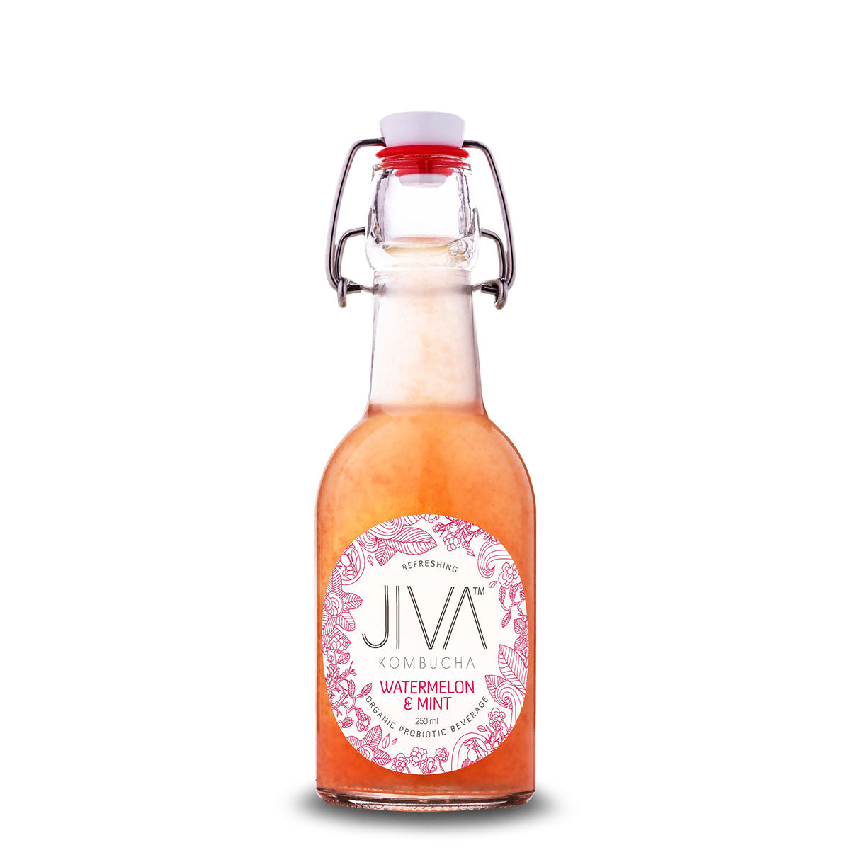 Jiva Kombucha Watermelon and Mint 250ml | Harris Farm Online