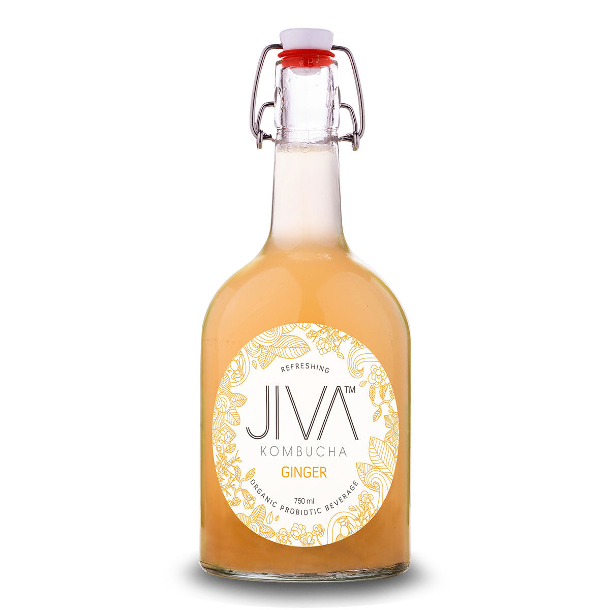 Jiva Kombucha Ginger | Harris Farm Online