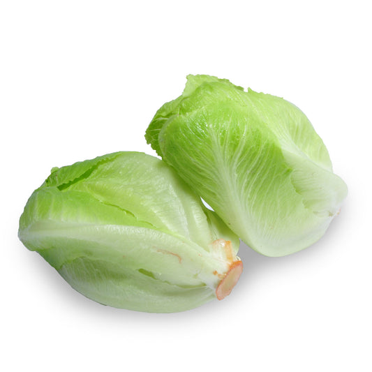 Lettuce Cos Baby | Harris Farm Markets