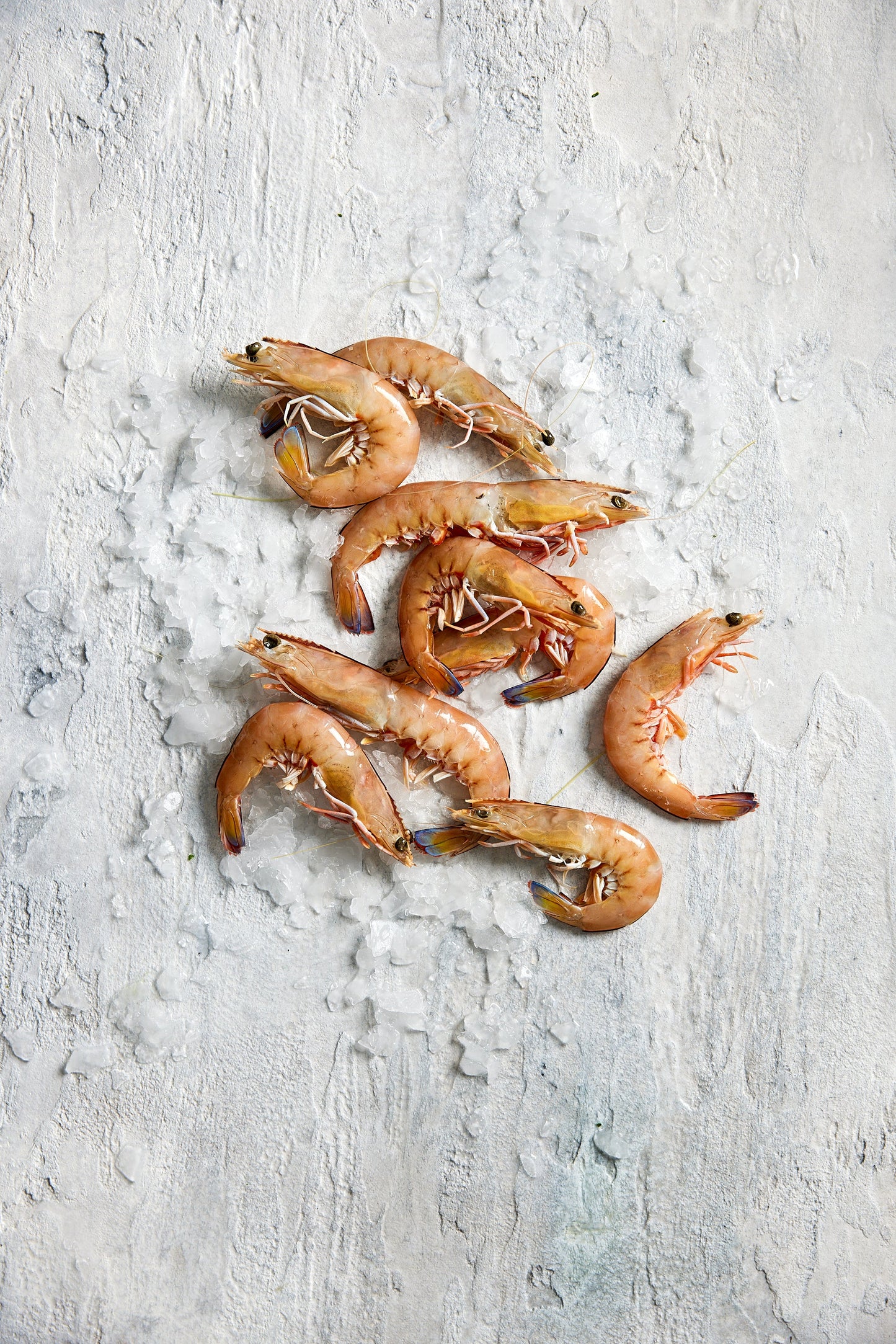 Fish in the Family Raw King Prawns Med Min 500g