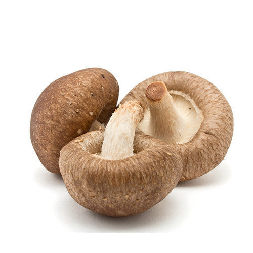 Mushrooms Shiitake | Harris Farm Markets