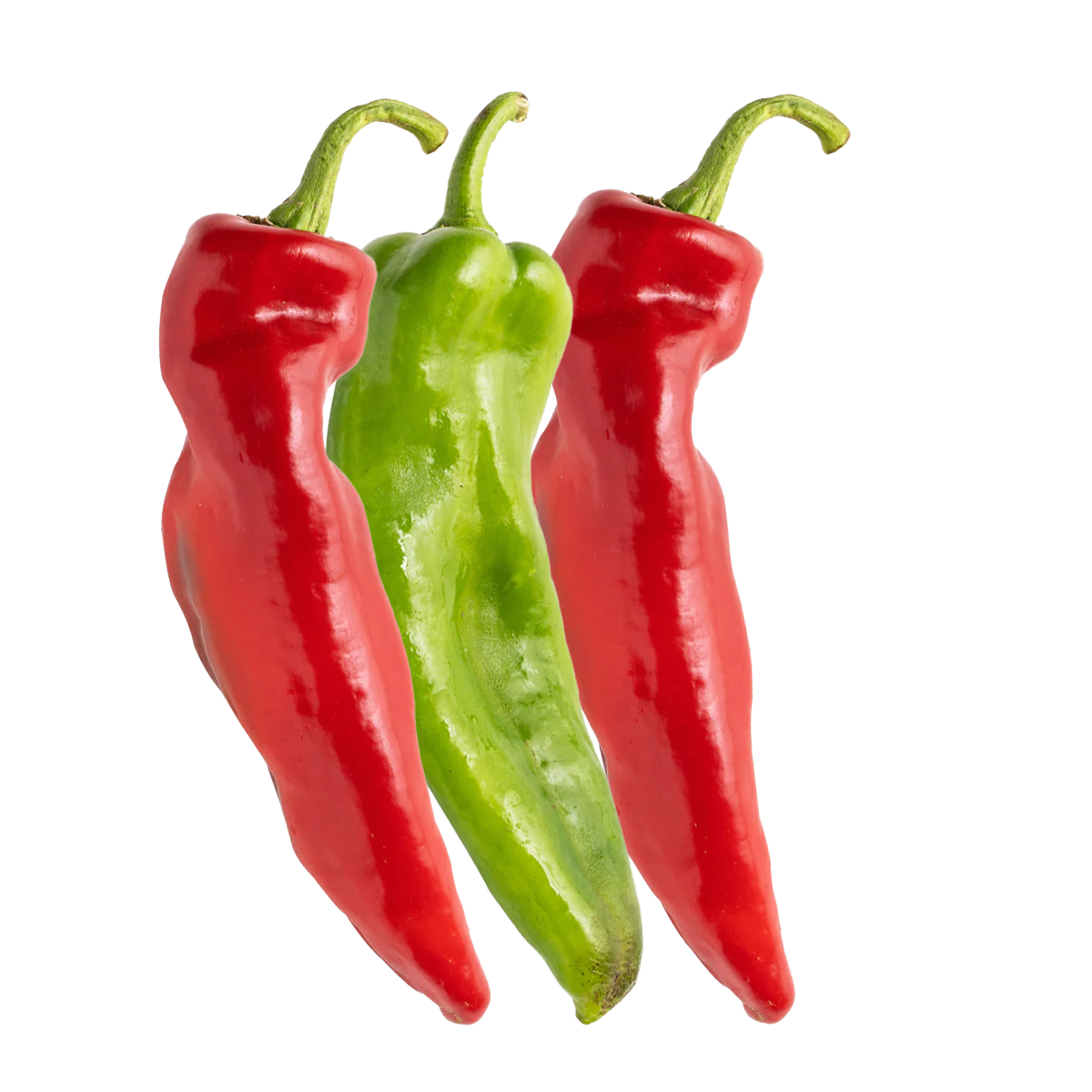 Mt. Alma Organics Bullhorn Chillies 3 Pack Multicolour