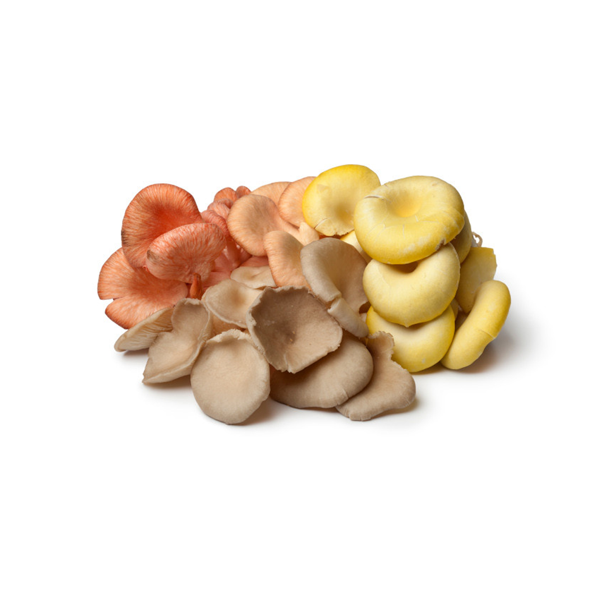 Mushroom Oyster Medley LA 150g