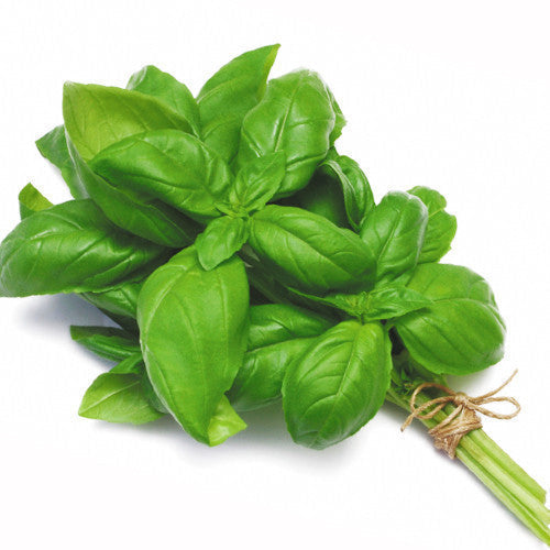 Basil | Harris Farm Markets