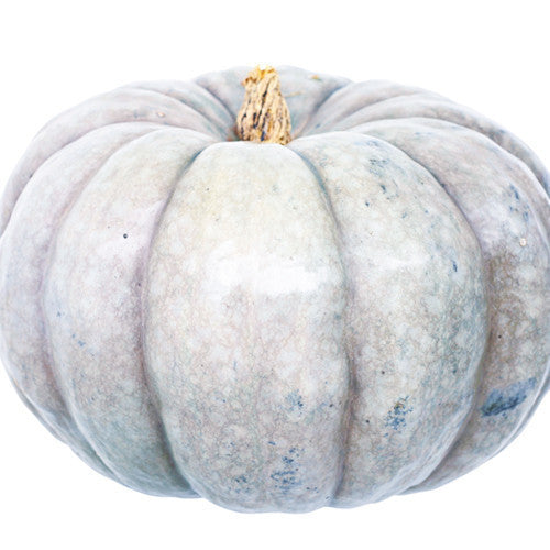  Pumpkin Jarradale Cut | Harris Farm Online