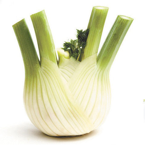 Fennel | Harris Farm Online