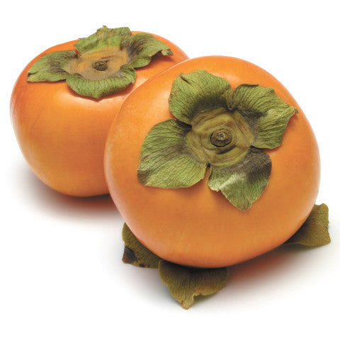 Fuyu Fruit | Harris Farm Online