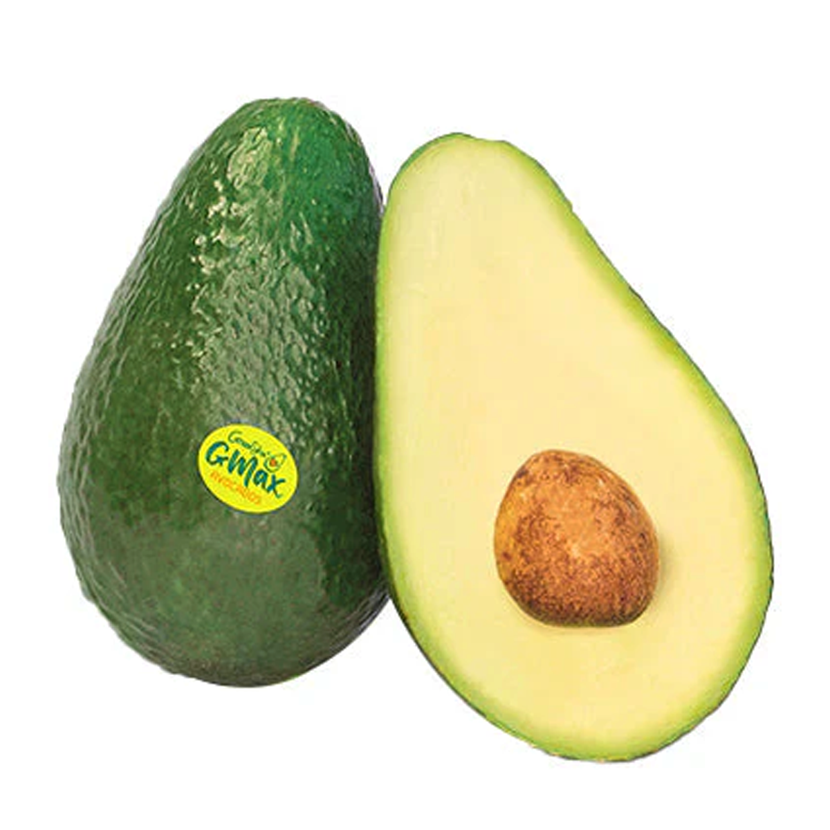 Avocado GMax Greenskin Small Each