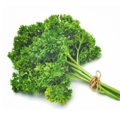 Parsley Curly | Harris Farm Online