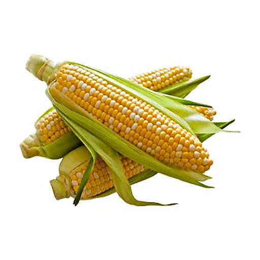 Bi Colour Corn Loose Each