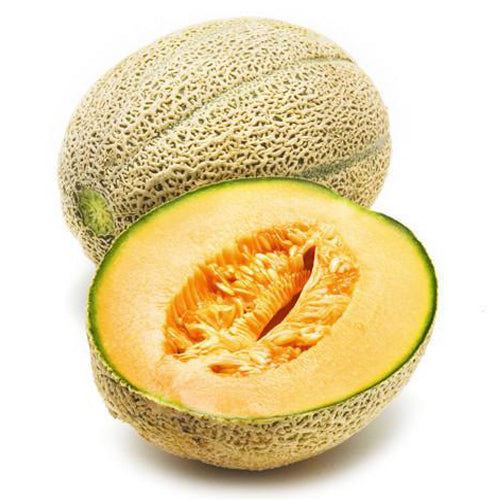  Rockmelon Large | Harris Farm Online